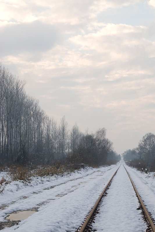 Sneeuwlandschap Militaire dijk.JPG - Sneeuwlandschap Militaire dijk